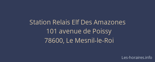 Station Relais Elf Des Amazones