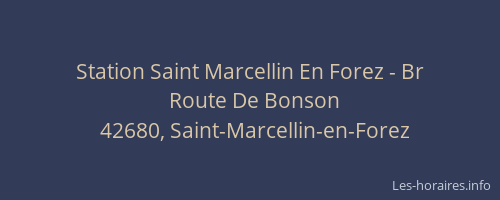 Station Saint Marcellin En Forez - Br