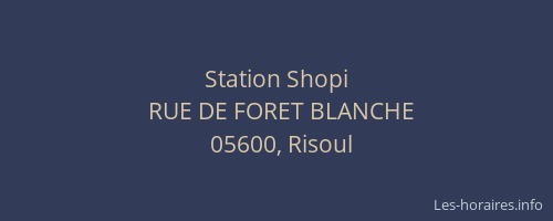 Station Shopi