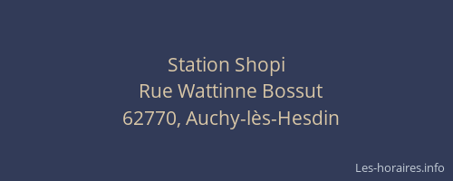 Station Shopi