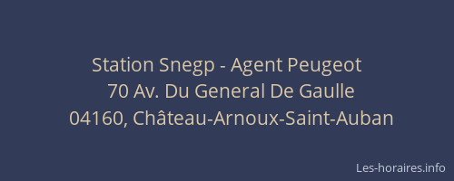 Station Snegp - Agent Peugeot