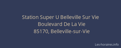Station Super U Belleville Sur Vie