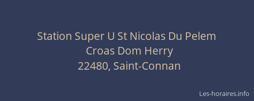 Station Super U St Nicolas Du Pelem