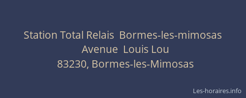 Station Total Relais  Bormes-les-mimosas