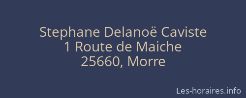 Stephane Delanoë Caviste