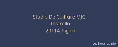 Studio De Coiffure MJC