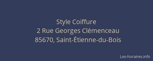 Style Coiffure