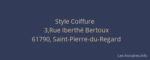Style Coiffure