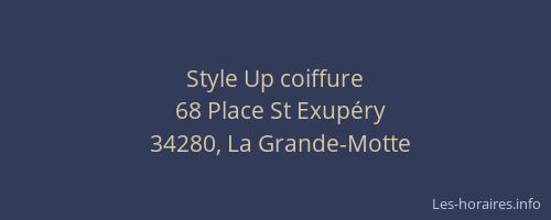 Style Up coiffure