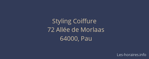 Styling Coiffure
