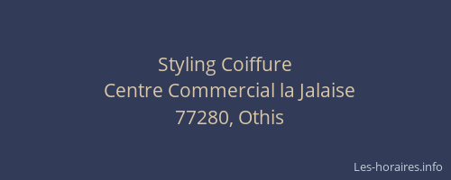 Styling Coiffure