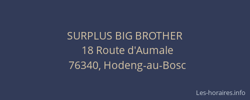SURPLUS BIG BROTHER