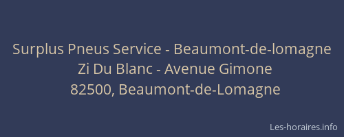 Surplus Pneus Service - Beaumont-de-lomagne