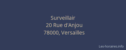 Surveillair