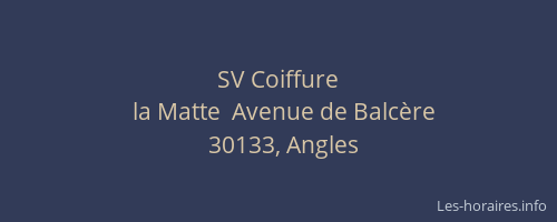 SV Coiffure