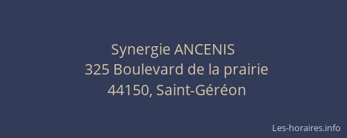 Synergie ANCENIS