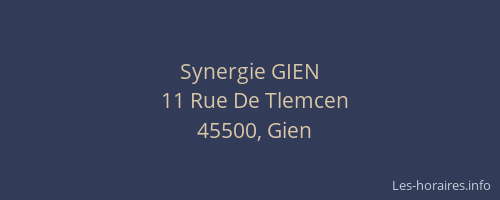 Synergie GIEN