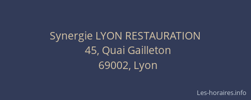 Synergie LYON RESTAURATION
