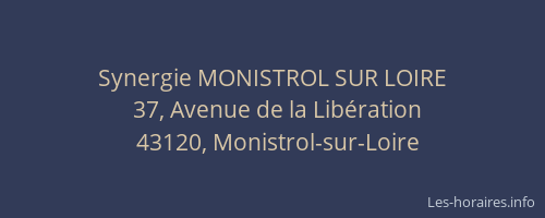 Synergie MONISTROL SUR LOIRE