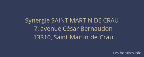 Synergie SAINT MARTIN DE CRAU