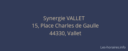 Synergie VALLET