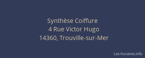 Synthèse Coiffure