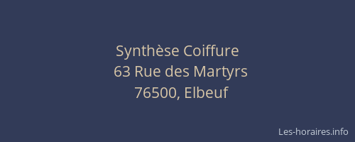 Synthèse Coiffure