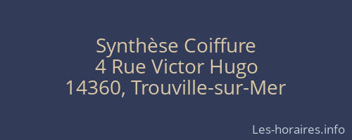 Synthèse Coiffure