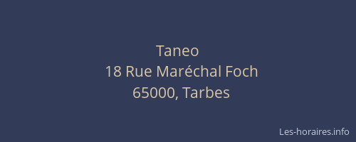 Taneo