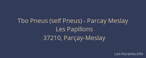 Tbo Pneus (self Pneus) - Parcay Meslay