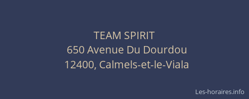 TEAM SPIRIT