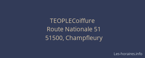 TEOPLECoiffure