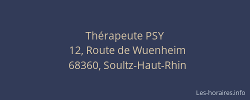Th&eacute;rapeute PSY