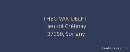 THEO VAN DELFT