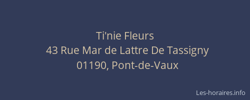 Ti'nie Fleurs