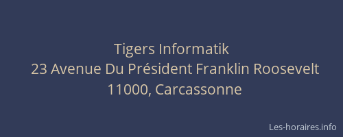 Tigers Informatik