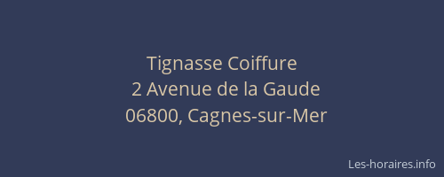 Tignasse Coiffure