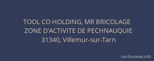 TOOL CO HOLDING, MR BRICOLAGE