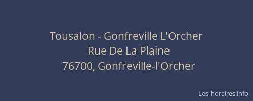 Tousalon - Gonfreville L'Orcher