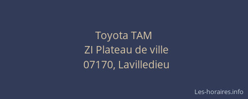 Toyota TAM