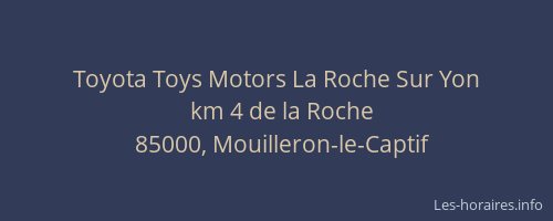 Toyota Toys Motors La Roche Sur Yon