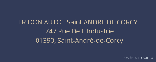 TRIDON AUTO - Saint ANDRE DE CORCY