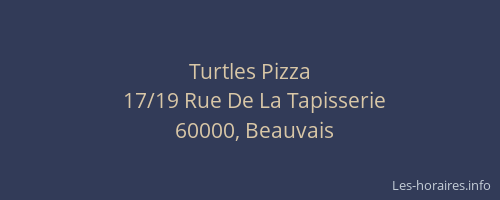 Turtles Pizza