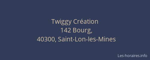 Twiggy Création