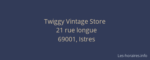 Twiggy Vintage Store
