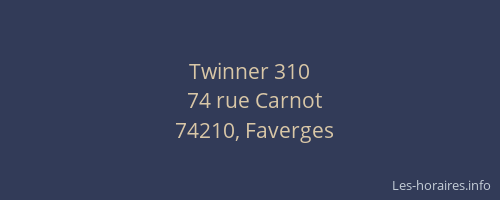Twinner 310