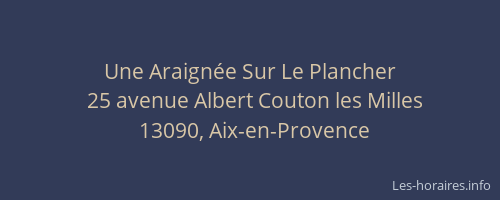 Une Araignée Sur Le Plancher
