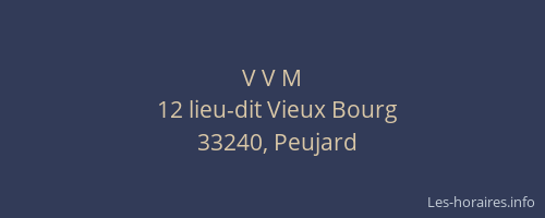 V V M