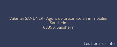 Valentin SANDNER - Agent de proximité en immobilier