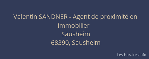 Valentin SANDNER - Agent de proximité en immobilier